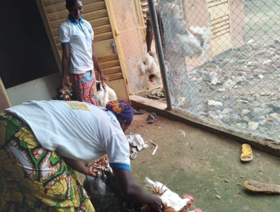 Suor Philomène ci racconta il progetto del pollaio in Burkina Faso